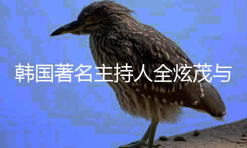 炫茂韩国慧星两年著名主持人全与李分手方曾交往 双